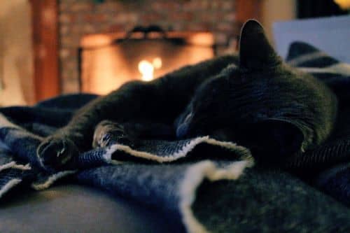 Un chat noir qui dort au coin du feu afin de profiter de la chaleur