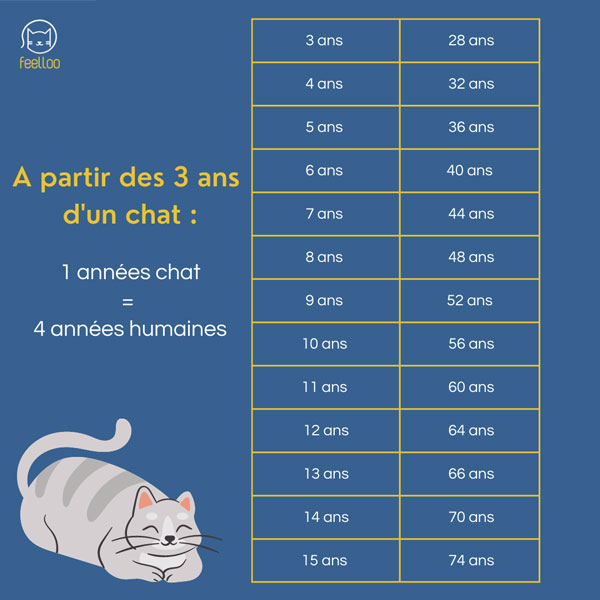 Age chat humain