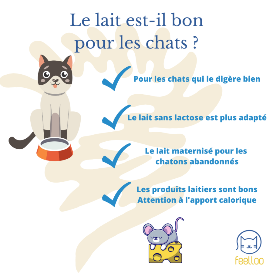 illustration lait pour chat